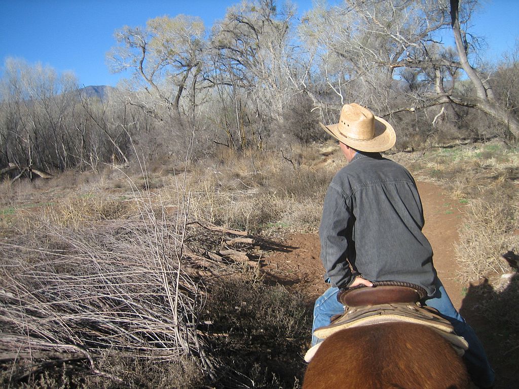 sedona-dead-horse-ranch-ride-2.jpg