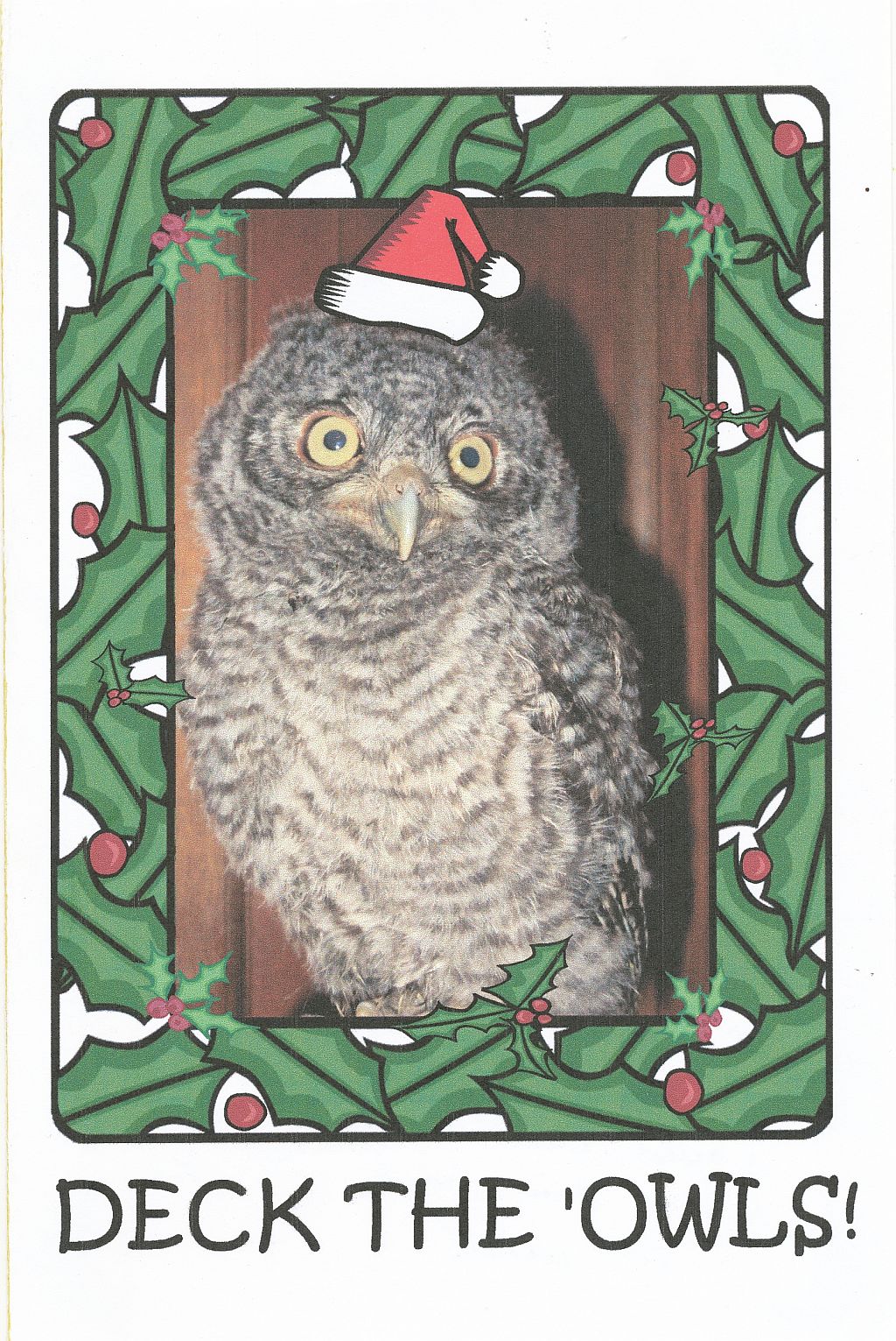 christmas-card-roy-and-dann-thomas-2014.jpg